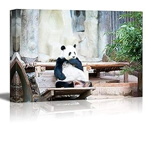 Cute Panda Bear Sitting on a Wood Chair...