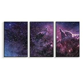 NWT Framed Canvas Wall Art for Living Room,...