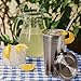 Stainless Steel Smoothie Cup w/Lid and Straw + BONUS Straw & Cleaning Brush | 16 Oz Travel Tumbler | Double Wall Insulated | Perfect for Smoothies, Milkshakes, Iced Tea & Coffee | By Savvy Drinkware