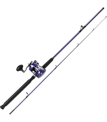 Amazon.com : Sougayilang Inshore Saltwater Fishing Rods Combo, 7-Foot  Casting Rods with ECT15L Trolling Reel, Contoured EVA Handles & Fighting  Butt- Left Handed : Sports & Outdoors