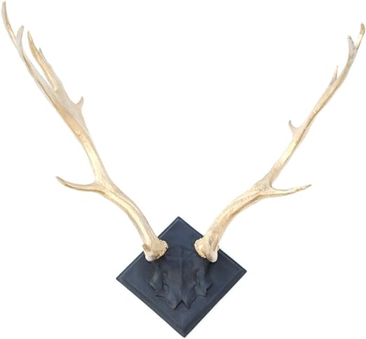 Amazon Com Near And Deer Faux Taxidermy Deer Antlers Wall Mount