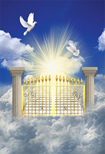 OFILA Heaven Gate Backdrop 5x7ft Doves Holy Spirit Peace Freedom Jesus Christian Religious Belief Church Event Background Vacation Bibble School Class Decoration Pray Lord God of Father Shoots Props