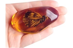 Acxico 1Pcs Beautiful Amber Butterfly Fossil Insects Manual Polishing