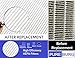 PUREBURG 990051000 Replacement True HEPA Filter Compatible with Hamilton Beach TrueAir 04383 04384 04385 04386 Compact Pet Air Purifiers,H13 2-Pack