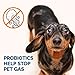 Pawbiotics pet probiotics and enzymes with prebiotics, pumpkin, turmeric, fish oil a natural supplement for dogs and cats (4 ounce)