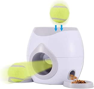 motorized tennis ball for dogs
