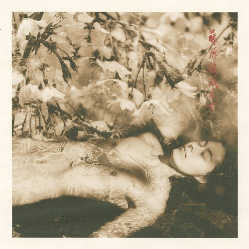 Resultado de imagen para Brigitte Carnochan