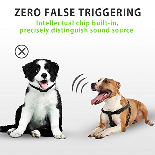 ZGO Dog Bark Collar - Bark Control Training Collar w/2 Modes Beep Vibration & w/or w/o Shock for Small Breed Medium and Large Dogs ZGO-165 Rechargeable Anti Bark Collar Smart Detection Module