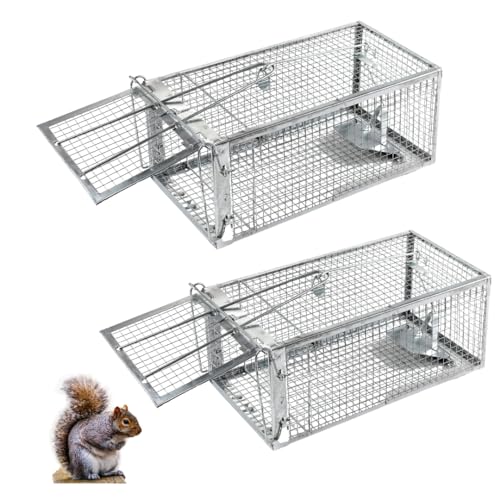 Photo 1 of Humane Squirrel Trap - 2 Pack, Rat Trap That Works 12.5"x6.5"x5.5", Small Rodent, Chipmunk Trap Cages | Catch and Release | Reusable and Durable | No Kill Animal Trap | Indoor for Home and Outdoors