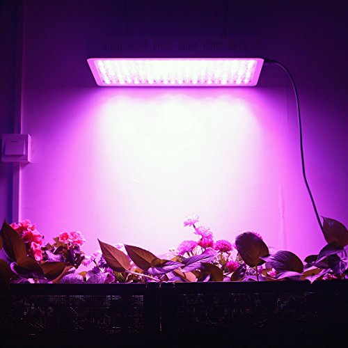 Top 10 Best Full Spectrum LED Grow Lights Reviews 20192020 on