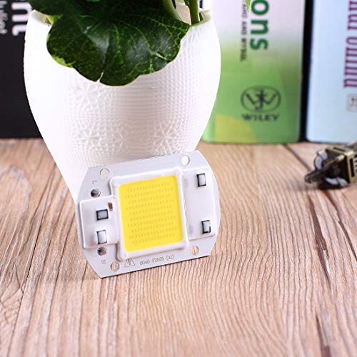 30W COB LED Chip F6040 AC110V AC220V Input IP63 Smart Integrated High Luminous LED Chip for DIY LED Floodlight - ColdWhit