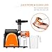 Masticating Juicer, Cold Press Juicer, Slow Juicer Machine with Juice Jug, Pulp Jug and Cleaning Brush, Juicer Juice Extractor for High Nutrient Fruit and Vegetable