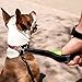 Dog Leash by GOMA - Gentle and Thick Training Leader for Large Dogs - Reflective Line - Double Handle leashes for All Big Breeds - Includes Free Dog Poop Bag Holder and 1 roll.