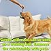 ChokGift Dog Teeth Cleaning Chew Toys Ball Toothbrush with Rope Nontoxic Bite Resistant Food Dispensing IQ Treat Toy Interactive Pet Chewy Toys for Small and Medium Puppy, Dental Care, Rubber, Green
