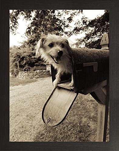 Frame Company Watson Range You ve Got Mail by Jim Dratfield, Frame - A5, Black