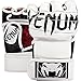 Venum Undisputed 2.0 MMA Gloves