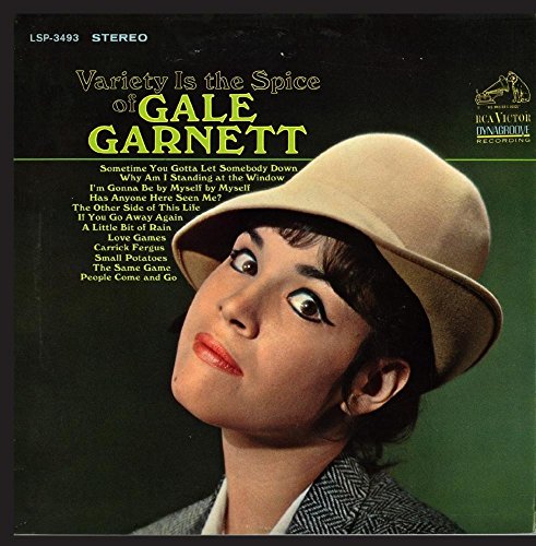 Gale Garnett - Top 100 Hits Of 1964 - Zortam Music