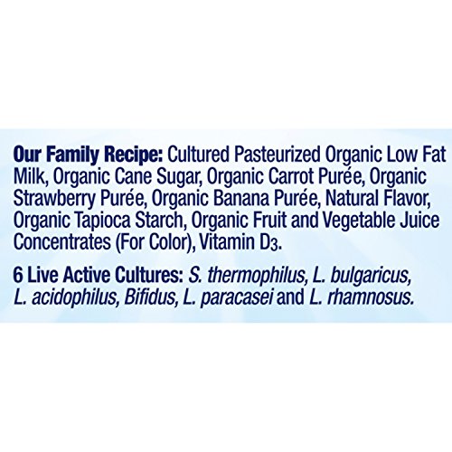 2 Stonyfield+Organic+YoKids+Strawbana+Smoothies