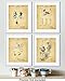 Mickey Mouse Cartoon Patent Wall Art Prints - set of Four (8x10) Unframed - wall art decor for music lovers