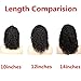 RULINDA Short Curly Wig Human Hair Brazilian Lace Front Human Hair Wigs With Baby Hair Pre Plucked Bleached Knots(14inch)