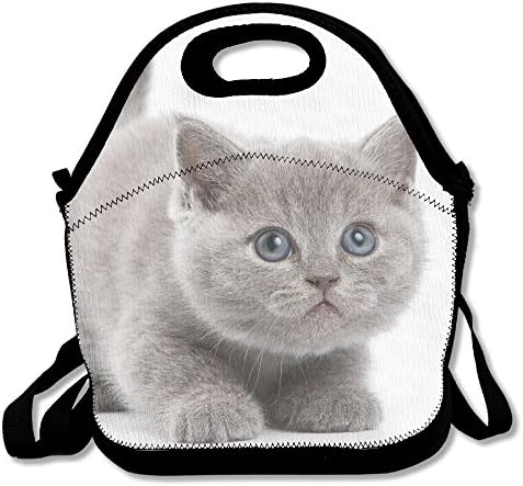 Cute Kittens Baby Cat Insulated Lunch Bag - Neoprene Lunch Bag - Large Reusable Lunch Tote Bags For Women, Teens, Girls, Kids, Baby, Adults Portable Carry
