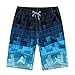 DHnewsun Men's Printing Quick Dry Beach Board Shorts Swim Trunks Plus Size