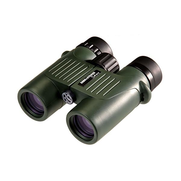Barr & Stroud Sahara 10x32 FMC Fernglas (10x Vergrößerung, 32mm Objektiv-Durchmesserm, wasserdicht bis 1,5m) grün