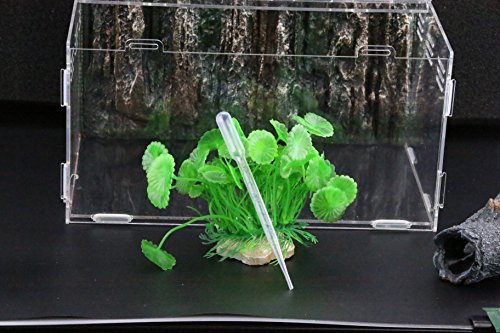 Coospider Reptile Amphibian Terrarium Vivariums Rock Back Feeding Habitat Kit Horizontal Size t12“ L x 8" W x 6" H