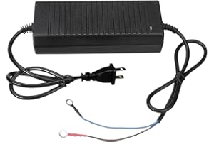 Diesel Heater 110V Adapter | Plug and Play Inverter - 110V to 12V Adapter,for RV Camper Van Truck Vehicle Camping Road Trip H