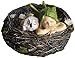 Top Collection Miniature Fairy Garden and Terrarium Sleeping Fairy Baby with Owl in Nest Statue primary