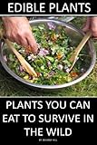 Edible Plants: Plants You Can Eat To Survive In the Wild
