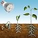 Tuscom 28 LED 28W E27 Grow Light Lamp Veg Flower Indoor Hydroponic Plant Full Spectrum, (1)