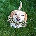 Dog Toy by Pet-It Productions – A Durable Rope Toy for Dogs and Puppies, Suitable for Aggressive chewers, Best for Medium and Large Dog Breeds