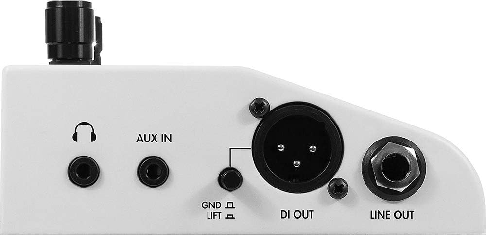 Two Notes Torpedo C.A.B. M - ペダルタイプのスピーカー