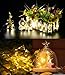 WisHome Waterproof Decorative 100 LEDs 33ft USB Powered Copper Wire Starry Fairy String Lights Led Rope Lights for Bedroom Patio Garden Christmas Outdoor Party Wedding Lamping Warm White