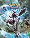 Pokemon XY-89-Pocket Full-View Portfolio