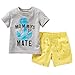 Baby Boys 2-Piece Outfit Set Top, Shorts,Grey,2T,90