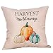 Jartinle 4 Pack Pumpkin Spice Quotes Happy Fall Throw Pillow Case Harvest Blessing Thanksgiving Cushion Cover 18 x 18 Inch Cotton Linen Autumn Farmhouse Decor (Pumkin Spice)