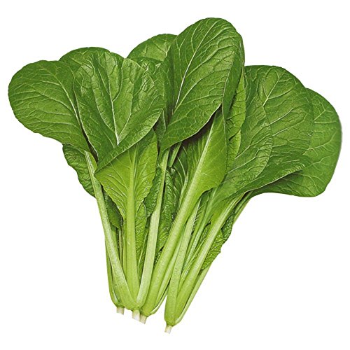 'Komatsuna (Japanese Mustard Spinach)' 1000 Seeds Cold Hearty, Heat