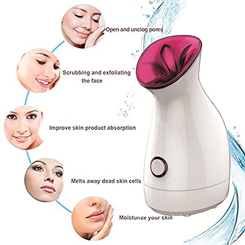 Nano Ionic Facial Steamer, FLYMEI Face Steamer for Girl Facial