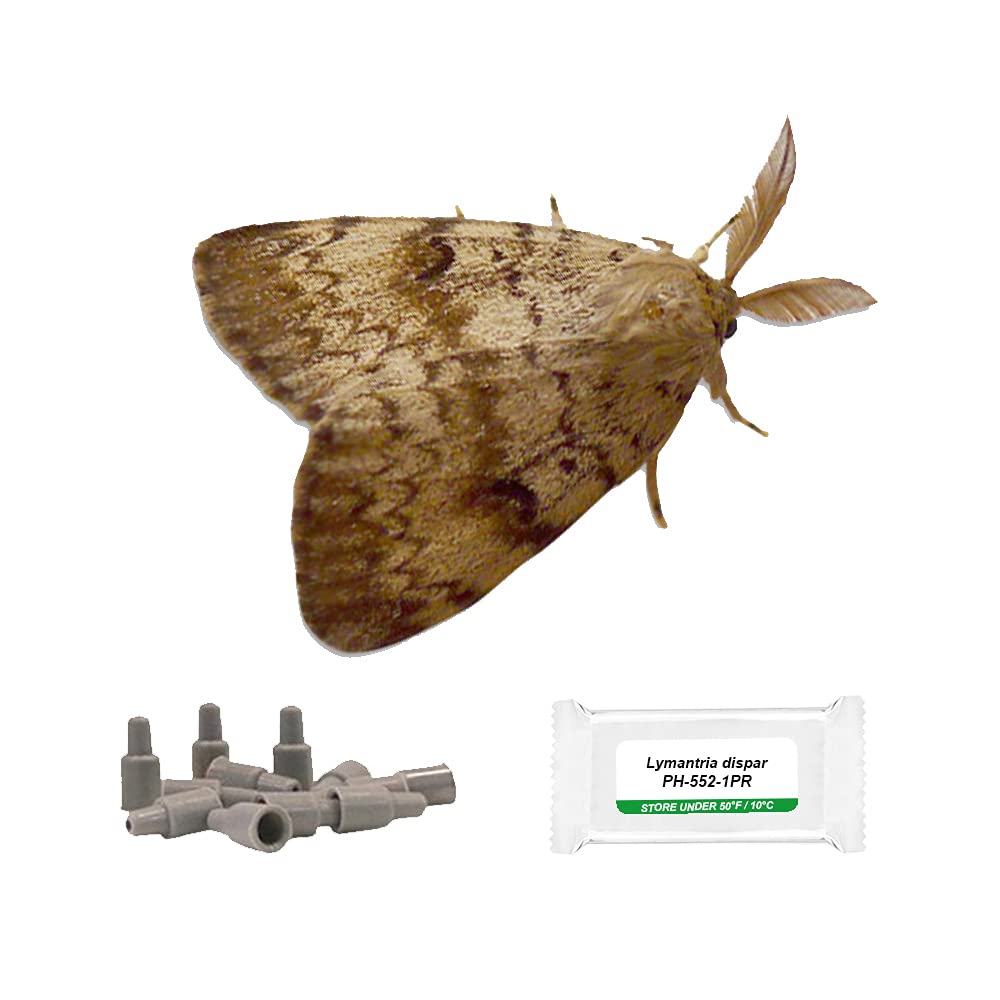 IPM Direct Pack of 3 Moth Trap Attractant Pheromones (Gypsy Moth)