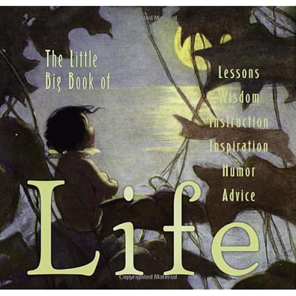 The Little Big Book Of America: Tabori, Lena, Fried, Natasha