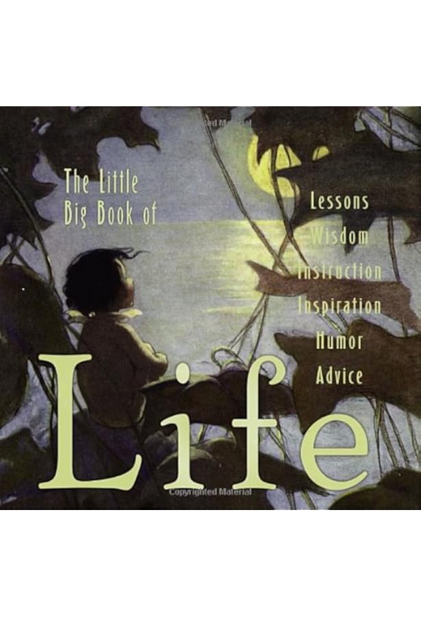 The Little Big Book Of America: Tabori, Lena, Fried, Natasha