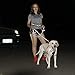 Menkar Dog Harness, No Pull, Adjustable, Outdoor Walking, Pet Vest, Reflective, Easy Control, for Large Dogs