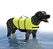 Paws Aboard Dog Life Jacket - Swimming Vest for Dogs, Adjustable, Reflective, Comfortable, Multiple Colors, Patterns, XX-Small to Extra Large Dog Swim Vest with Handle (Neon Yellow, X-Large)