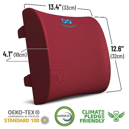Everlasting Comfort The Original Lumbar Support Pillow Improves