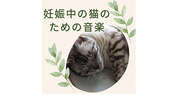 Amazon.com:                           