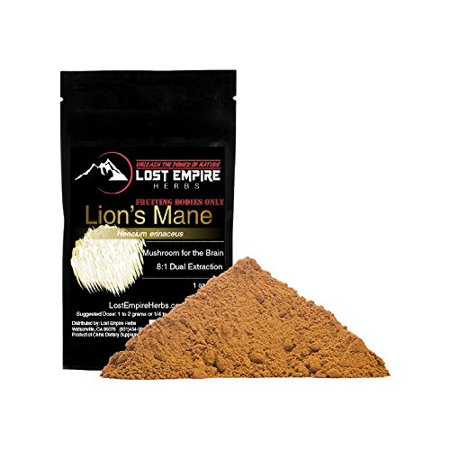 Lion's Mane Mushroom Dual Extract - Organic Nootropic Supplement - Helps Regulate Mood, Supports Brain Function, Improves Well Being, Memory Support - (30 Grams)