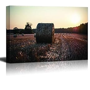 Canvas Wall Art for Living Room,Bedroom Home Artwork Paintings Farm Ready to Hang - 12x18 inches