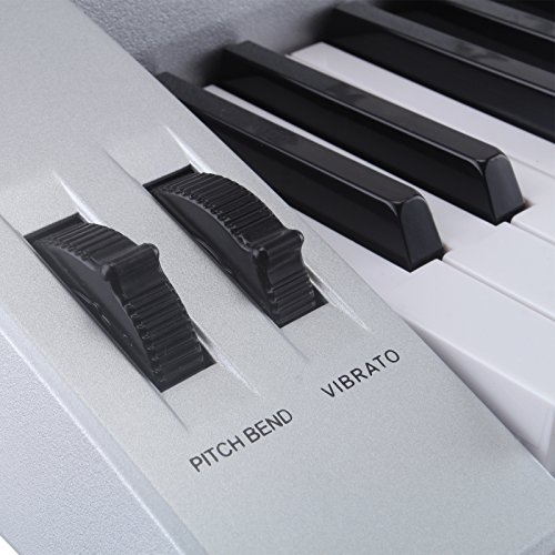 LAGRIMA 61 key Portable Electronic Piano, Include LED Display, USB/Headphones/Microphone Input, Music Stand and Power Supply, Suit for Kids(Over 8 Years Old) Teen Adult - Thumbnail 7